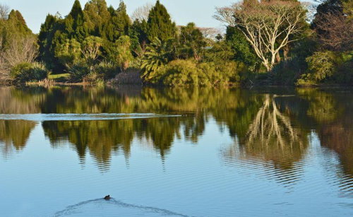 Awatapu Lagoon